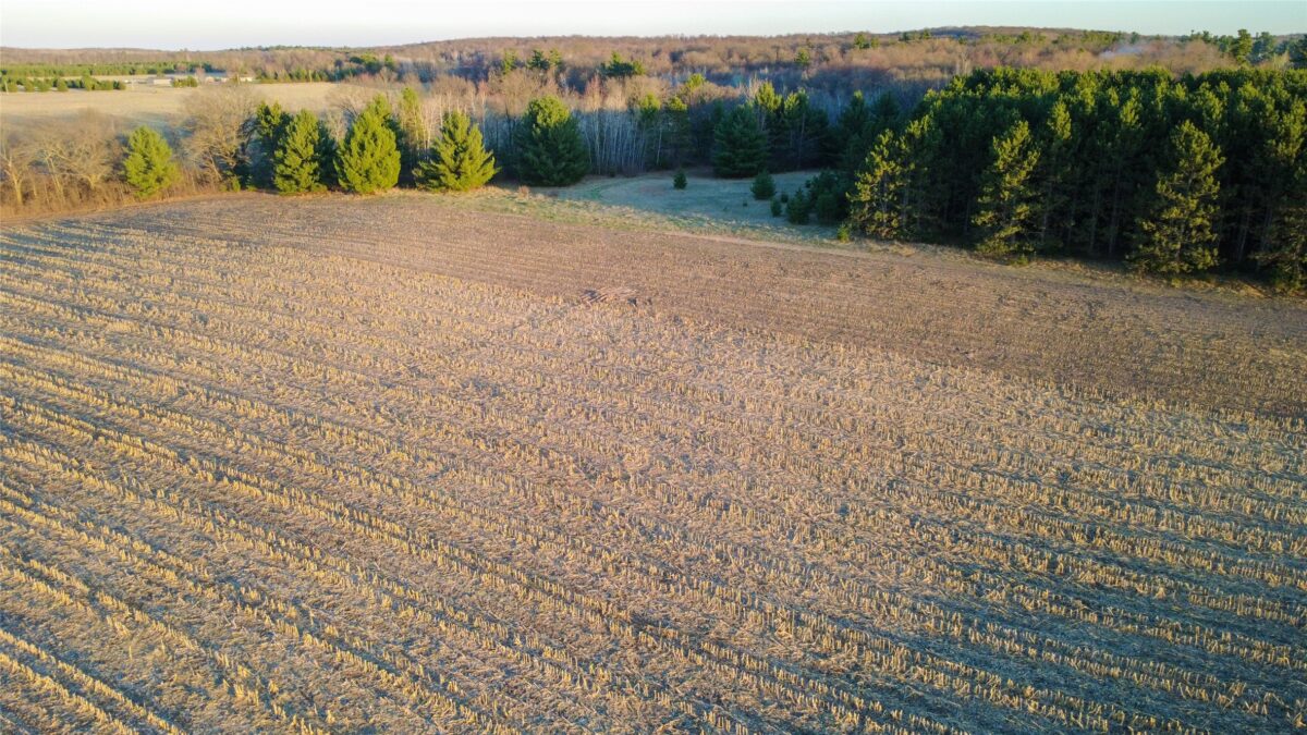 Lot 2 115th Street, Frederic WI 54837 - Land house for sale - MLS #1601052 - image11