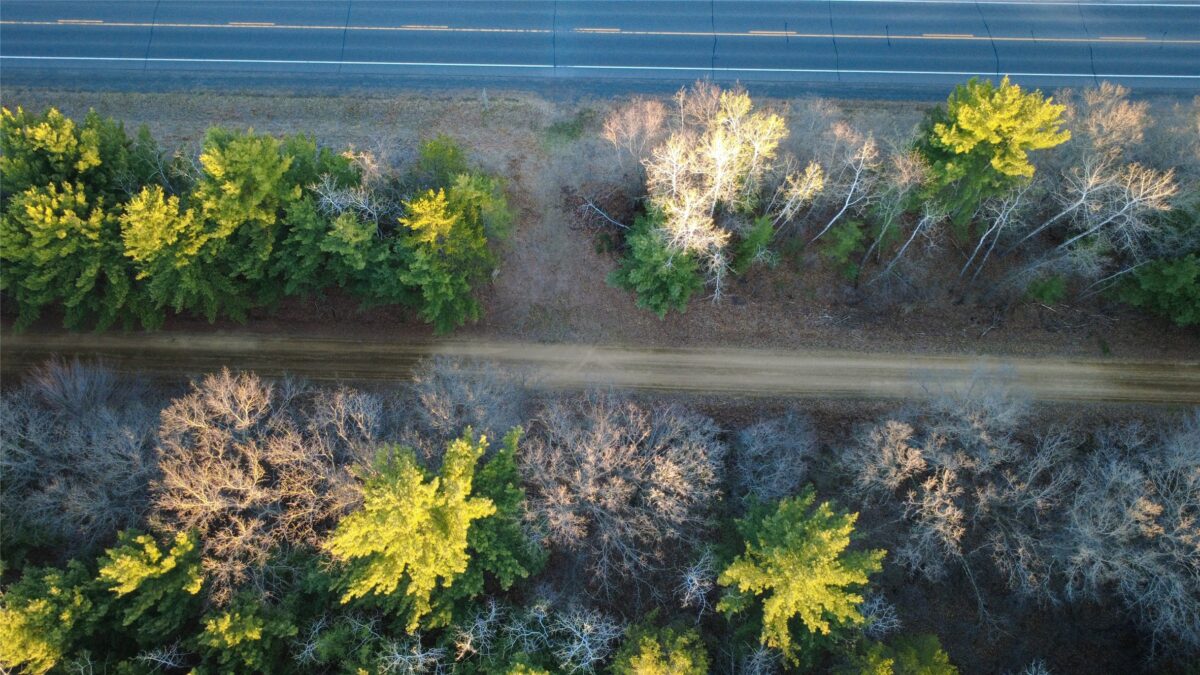 Lot 2 115th Street, Frederic WI 54837 - Land house for sale - MLS #1601052 - image14