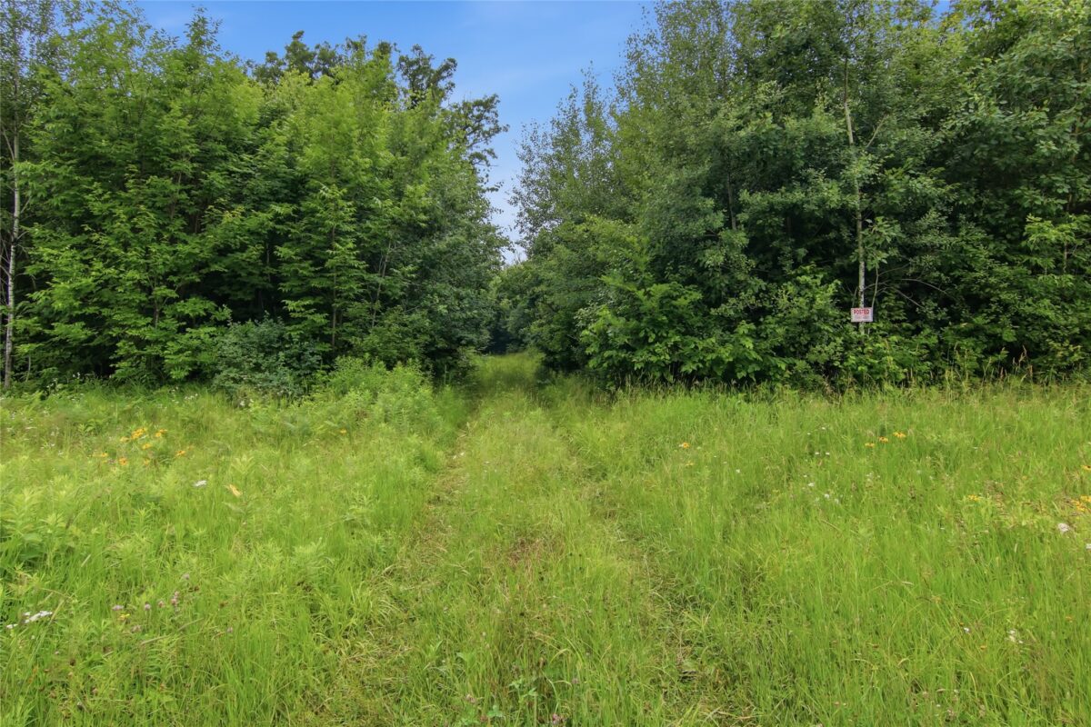 Lot 2 CSM 7522 4th Street, Clayton WI 54004 - Land house for sale - MLS #1603318 - image2