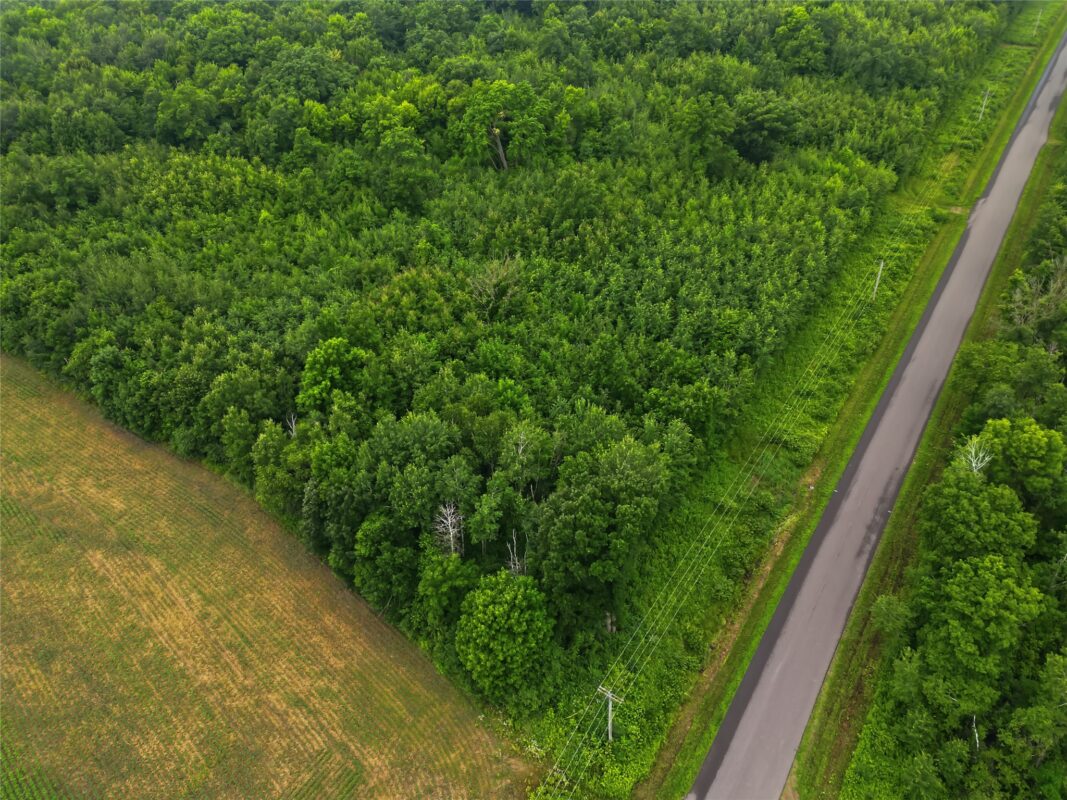 Lot 2 CSM 7522 4th Street, Clayton WI 54004 - Land house for sale - MLS #1603318 - image15