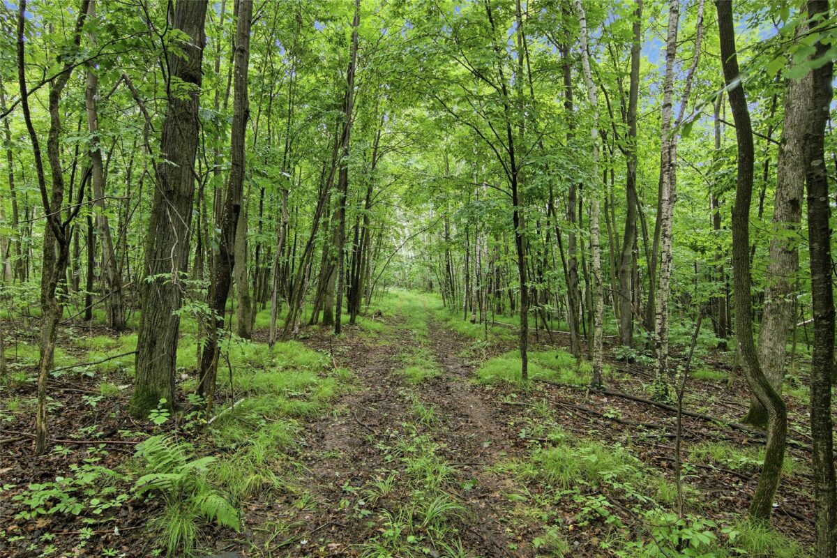 Lot 2 CSM 7522 4th Street, Clayton WI 54004 - Land house for sale - MLS #1603318 - image3