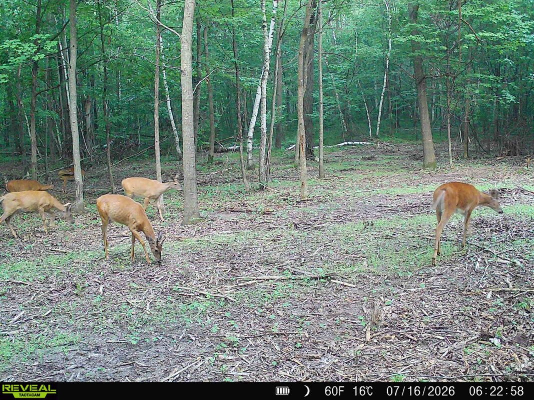 Lot 2 CSM 7522 4th Street, Clayton WI 54004 - Land house for sale - MLS #1603318 - image23