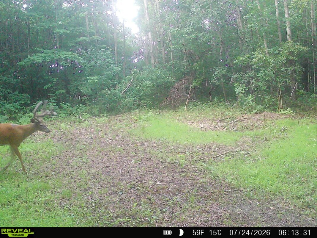 Lot 2 CSM 7522 4th Street, Clayton WI 54004 - Land house for sale - MLS #1603318 - image24
