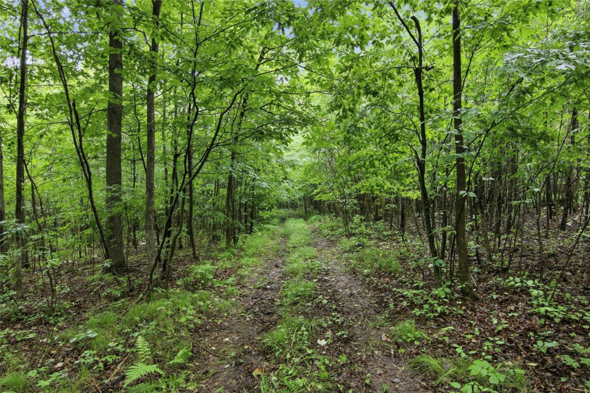 Lot 2 CSM 7522 4th Street, Clayton WI 54004 - Land house for sale - MLS #1603318 - image6