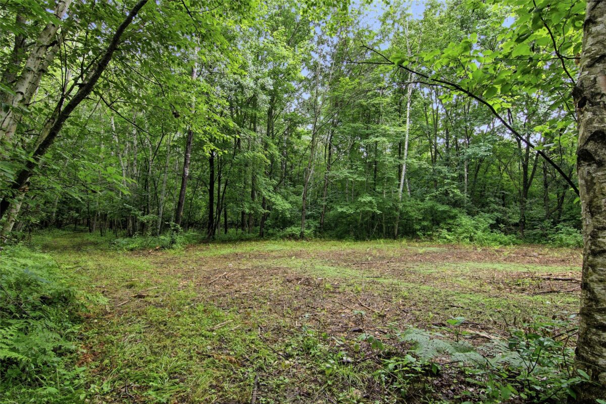 Lot 2 CSM 7522 4th Street, Clayton WI 54004 - Land house for sale - MLS #1603318 - image7