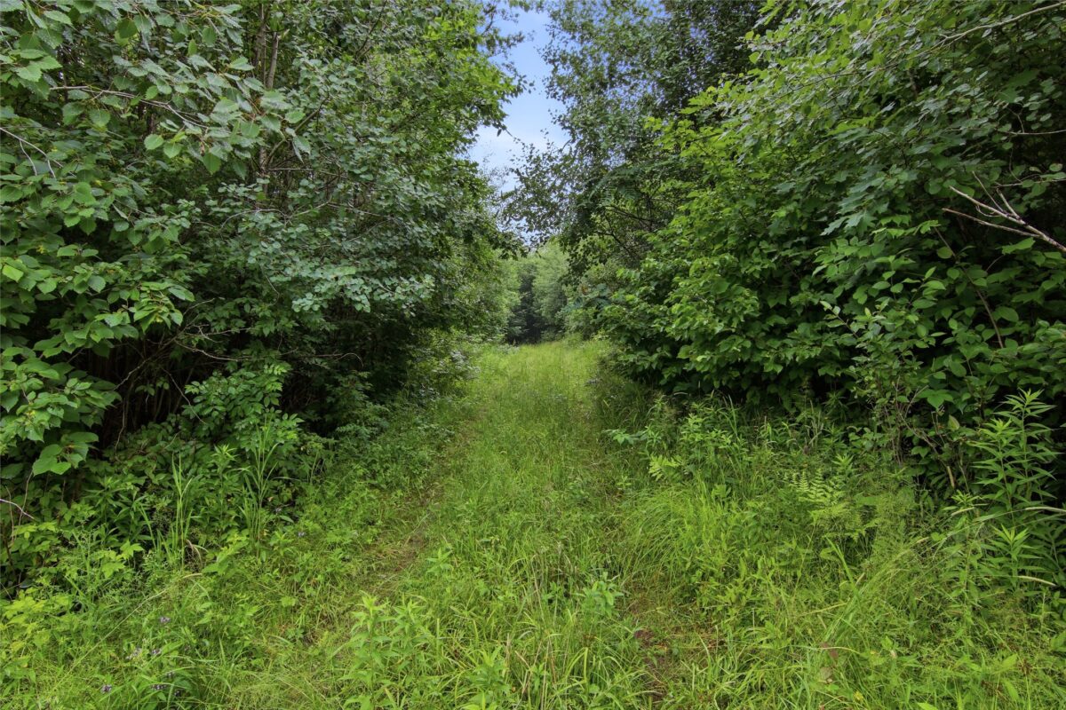 Lot 2 CSM 7522 4th Street, Clayton WI 54004 - Land house for sale - MLS #1603318 - image10