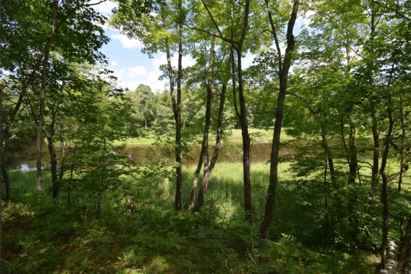 Lot 2 Saylors Lane Siren WI 54872