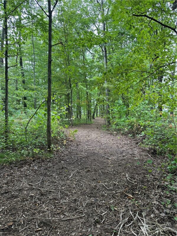 Lot #2 Thoroughfare Lane, Stone Lake WI 54843 - Land house for sale - MLS #1593177 - image6