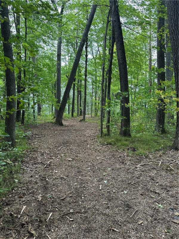 Lot #2 Thoroughfare Lane, Stone Lake WI 54843 - Land house for sale - MLS #1593177 - image7