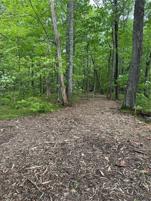 Lot #2 Thoroughfare Lane, Stone Lake WI 54843 - Land house for sale - MLS #1593177 - image8