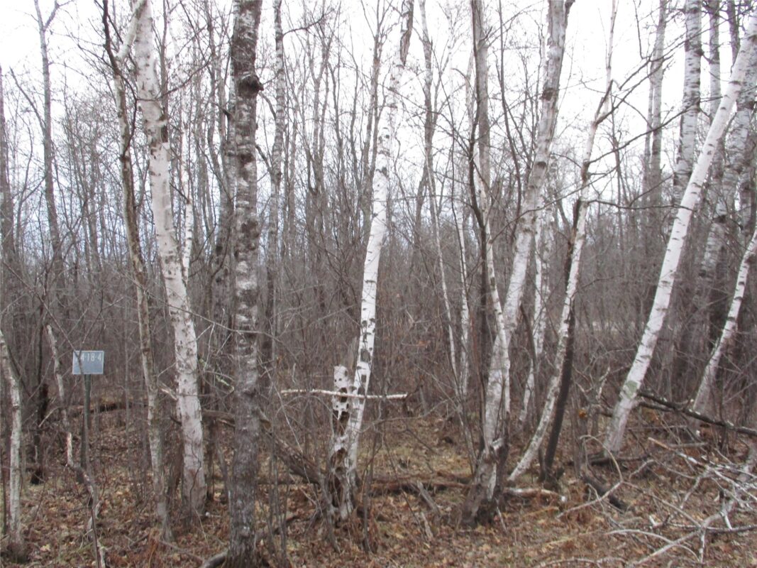 Lot #24 28 11/16 Street, Birchwood WI 54817 - Land house for sale - MLS #1599869 - image2