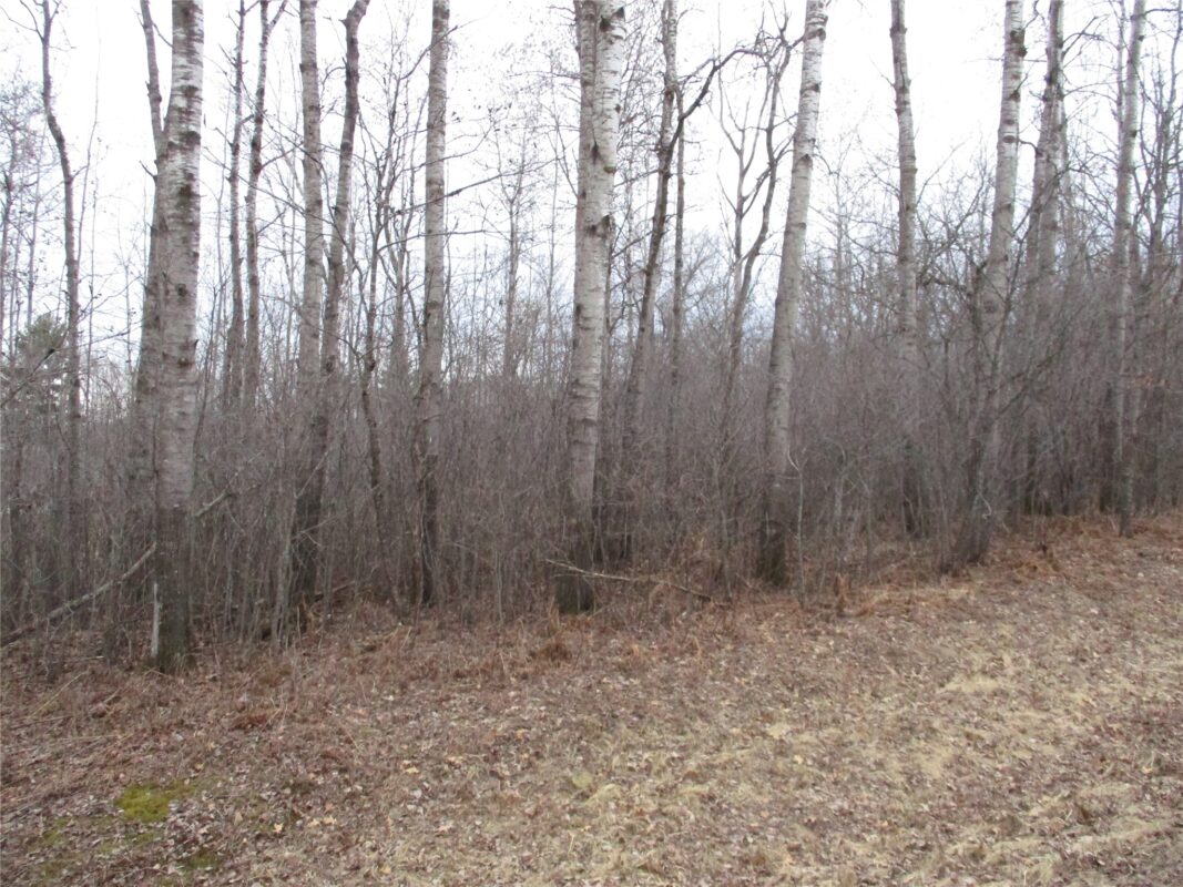 Lot #24 28 11/16 Street, Birchwood WI 54817 - Land house for sale - MLS #1599869 - image5