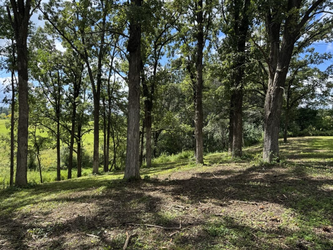 Lot 28 21st Street, Rice Lake WI 54868 - Land house for sale - MLS #1603229 - image12