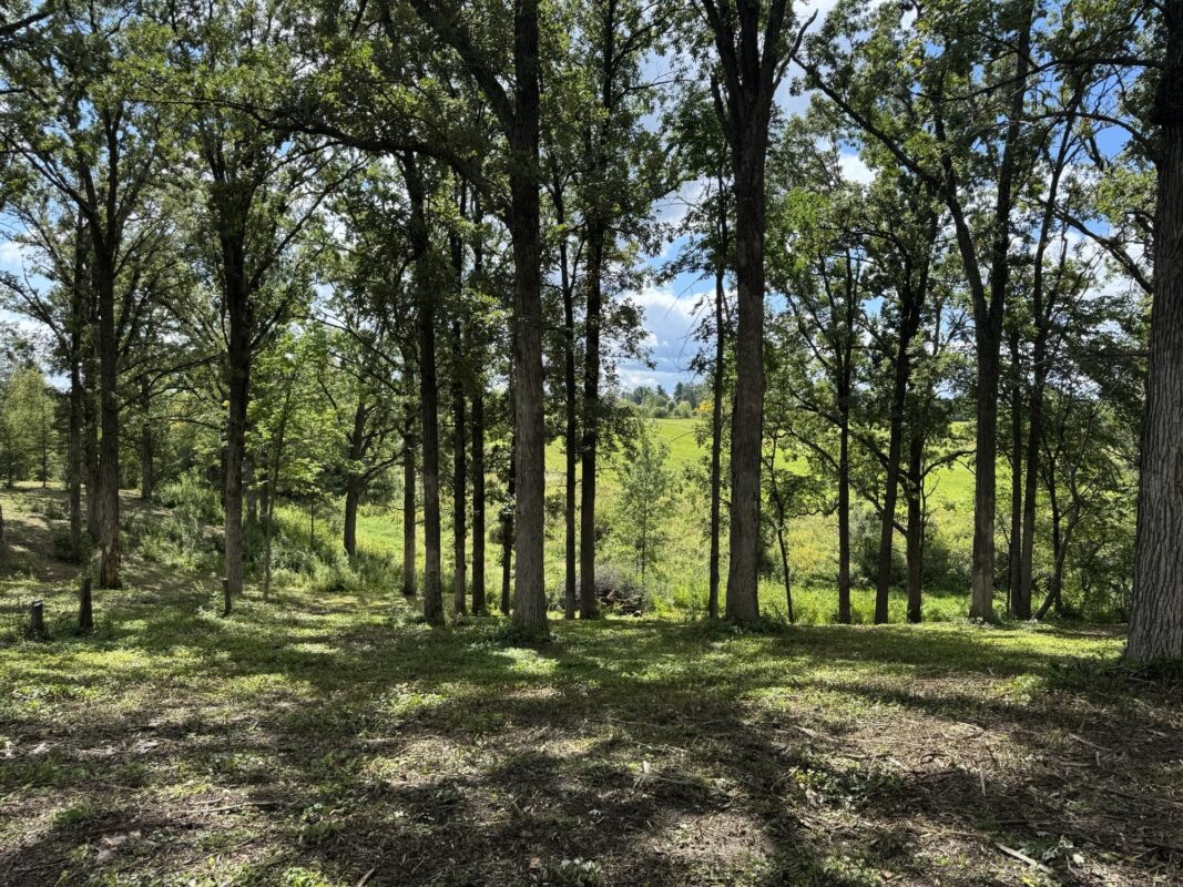 Lot 28 21st Street, Rice Lake WI 54868 - Land house for sale - MLS #1603229 - image13