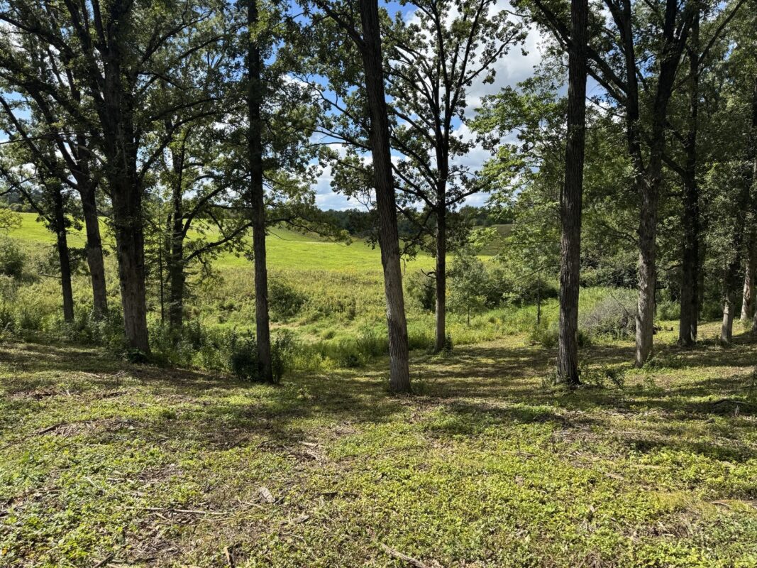 Lot 28 21st Street, Rice Lake WI 54868 - Land house for sale - MLS #1603229 - image15