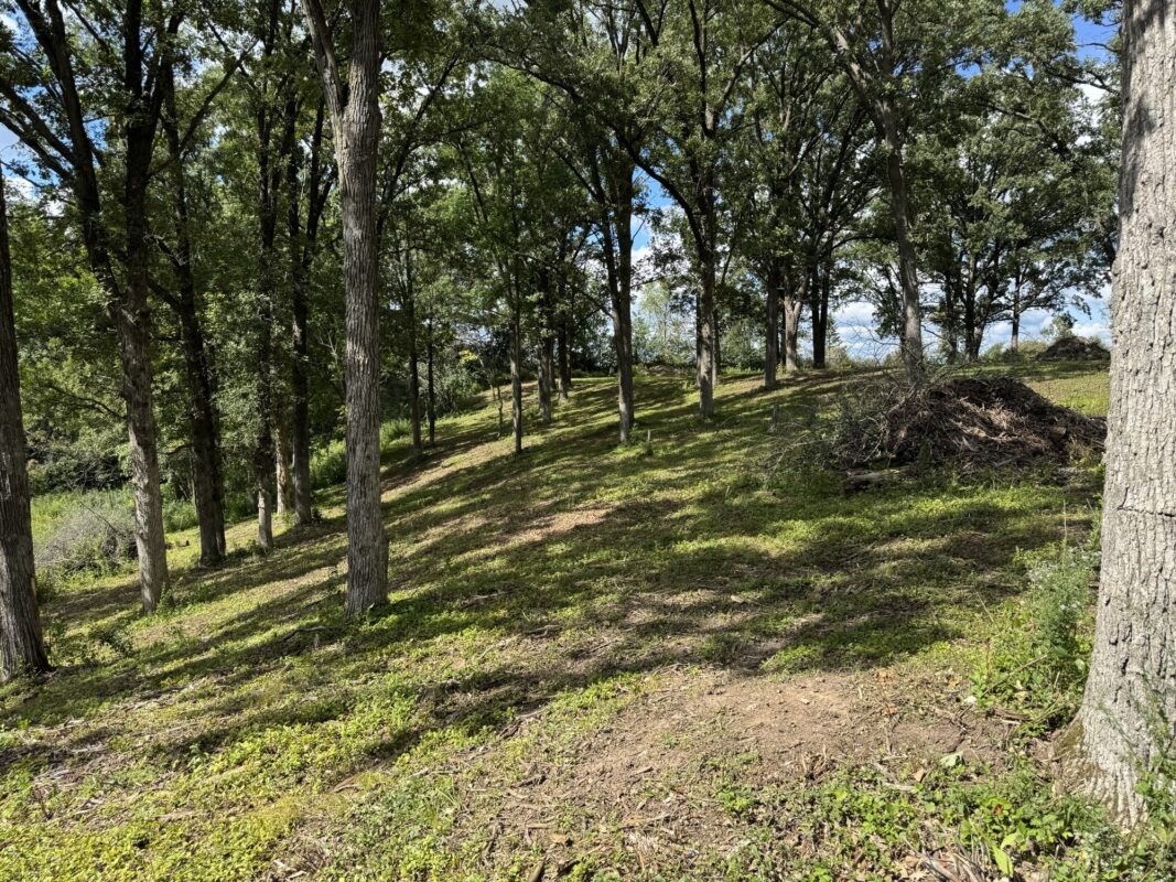 Lot 28 21st Street, Rice Lake WI 54868 - Land house for sale - MLS #1603229 - image16