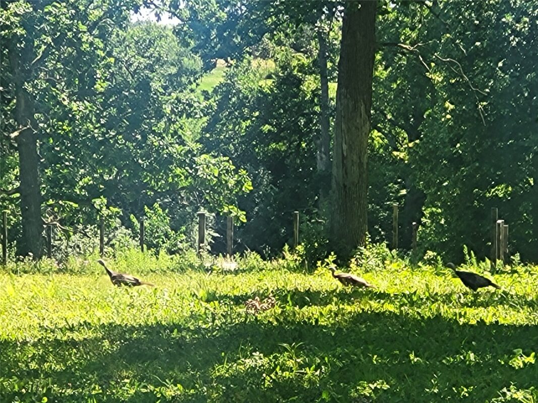 Lot 28 21st Street, Rice Lake WI 54868 - Land house for sale - MLS #1603229 - image3