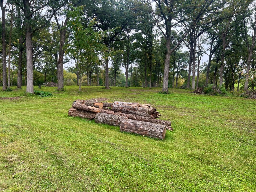 Lot 28 21st Street, Rice Lake WI 54868 - Land house for sale - MLS #1603229 - image21