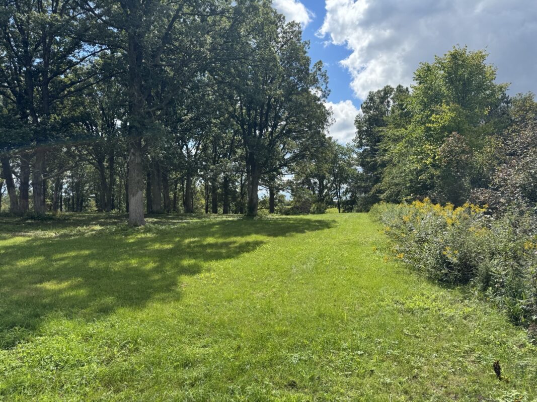 Lot 28 21st Street, Rice Lake WI 54868 - Land house for sale - MLS #1603229 - image25
