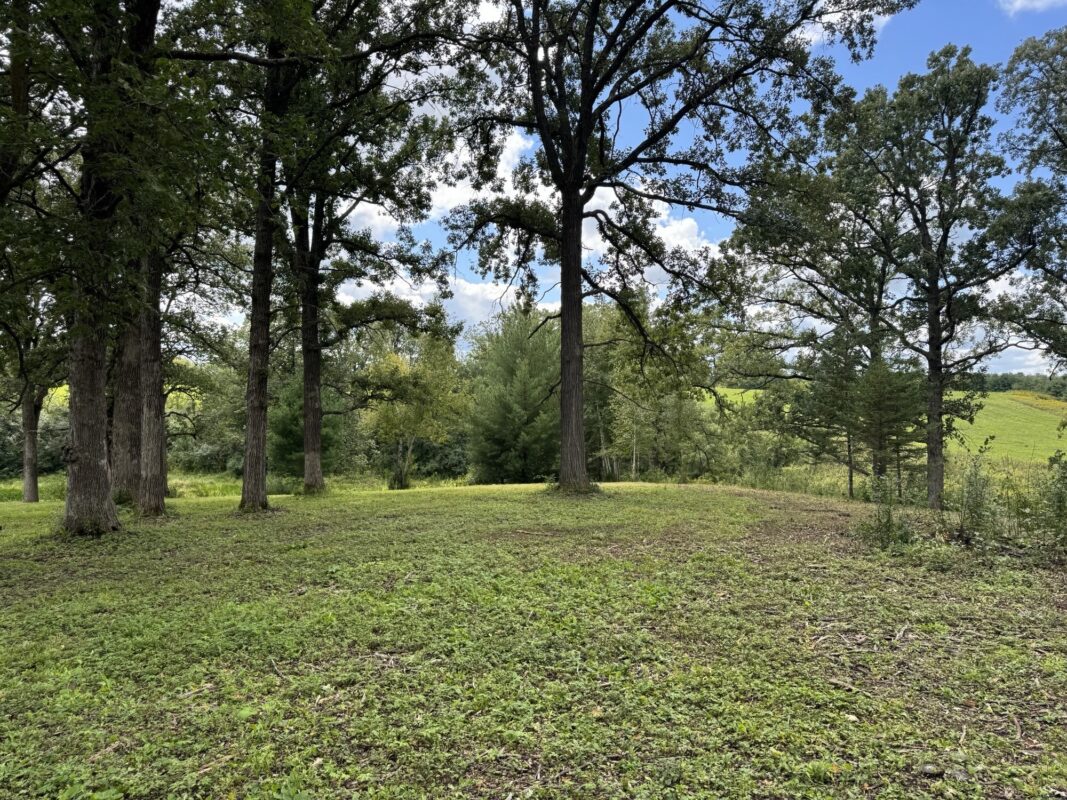 Lot 28 21st Street, Rice Lake WI 54868 - Land house for sale - MLS #1603229 - image4