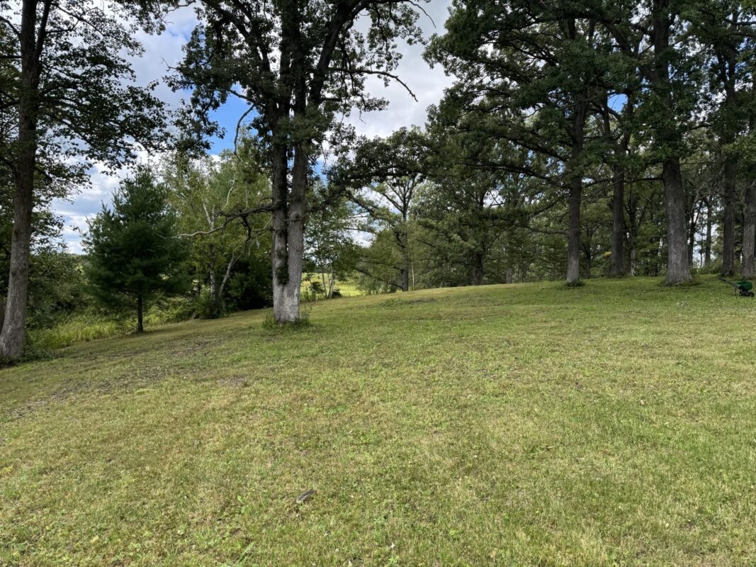 Lot 28 21st Street, Rice Lake WI 54868 - Land house for sale - MLS #1603229 - image7