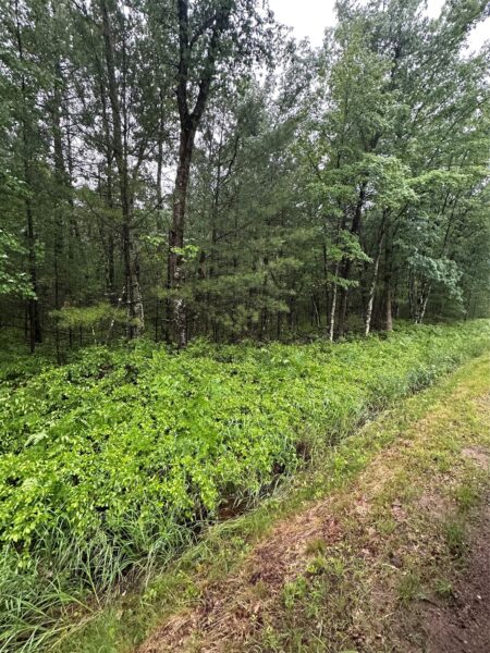 Lot 3 Highway K 