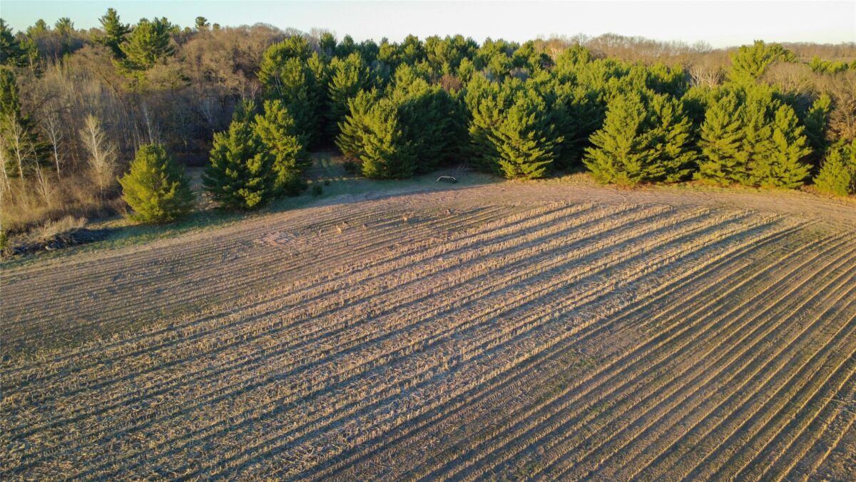 Lot 4 115th Street, Frederic WI 54837 - Land house for sale - MLS #1601057 - image11