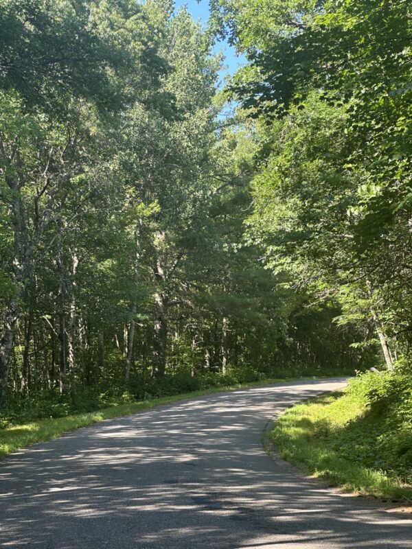 Lot 4 271st Street, Holcombe WI 54745 - Land house for sale - MLS #1603205 - image2