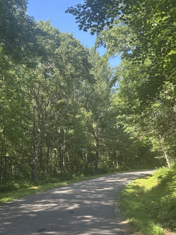 Lot 4 271st Street, Holcombe WI 54745 - Land house for sale - MLS #1603205 - image7