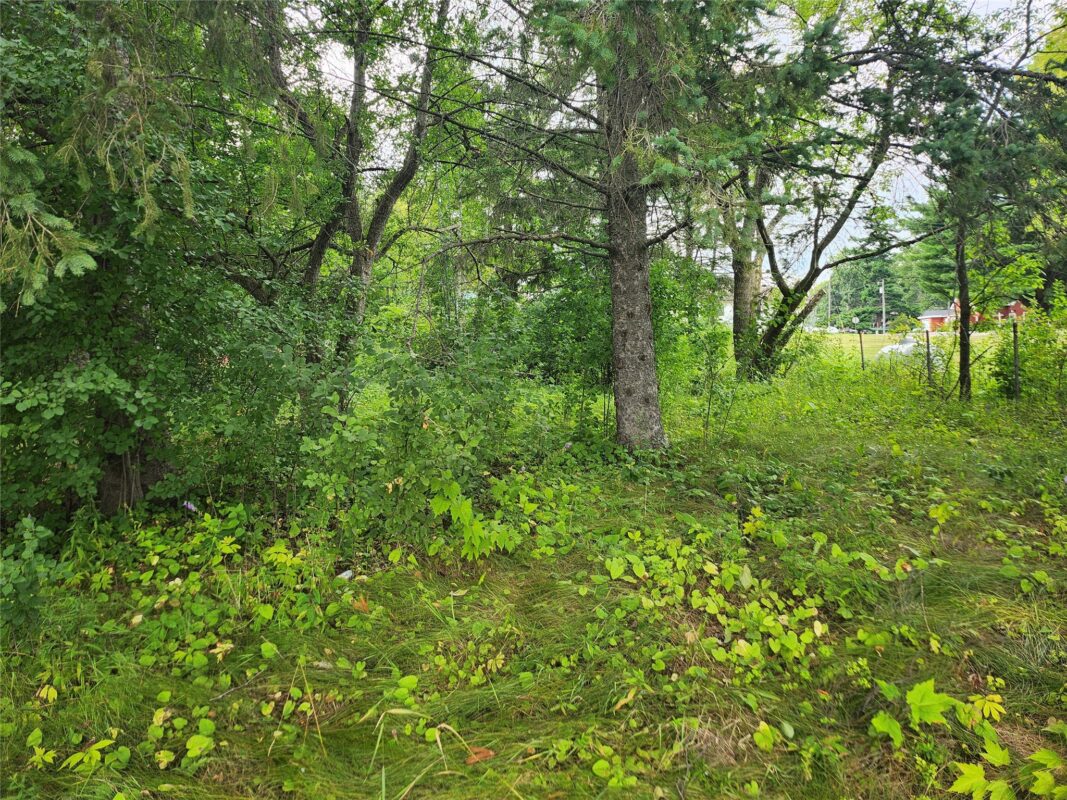 Lot 4 & 5 Main St Street, Birchwood WI 54817 - Land house for sale - MLS #1603574 - image2
