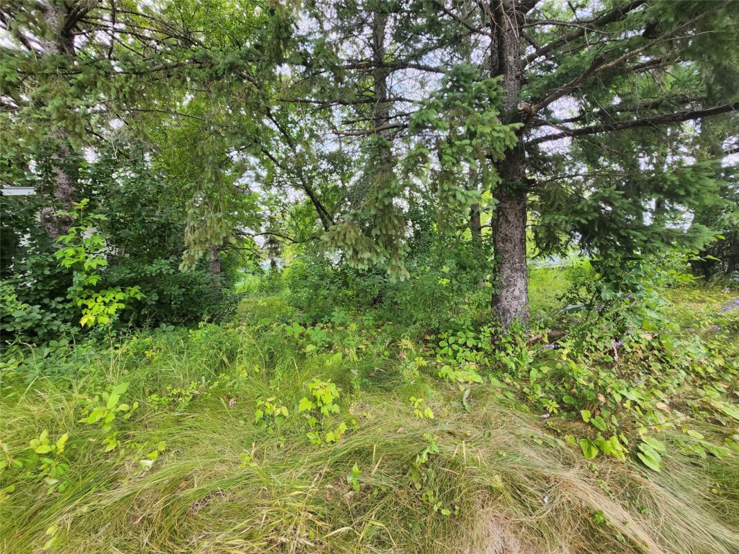 Lot 4 & 5 Main St Street, Birchwood WI 54817 - Land house for sale - MLS #1603574 - image3