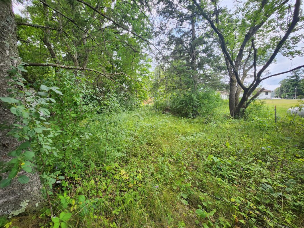 Lot 4 & 5 Main St Street, Birchwood WI 54817 - Land house for sale - MLS #1603574 - image4