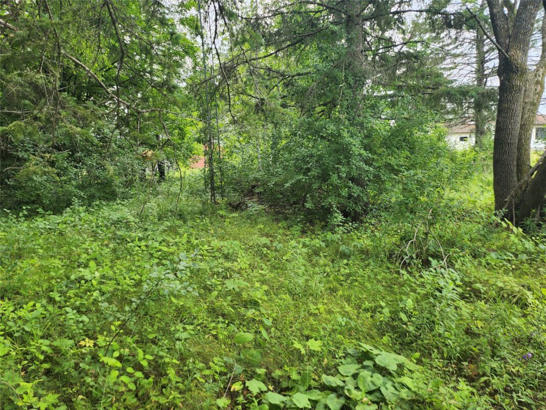 Lot 4 & 5 Main St Street, Birchwood WI 54817 - Land house for sale - MLS #1603574 - image5