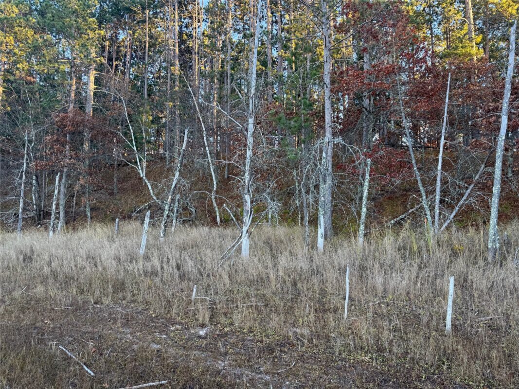 Lot 4 Big Sand Road, Minong WI 54859 - Land house for sale - MLS #1603419 - image12