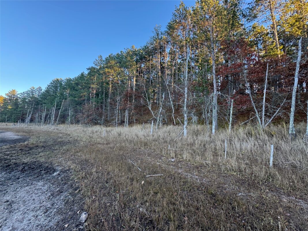 Lot 4 Big Sand Road, Minong WI 54859 - Land house for sale - MLS #1603419 - image13