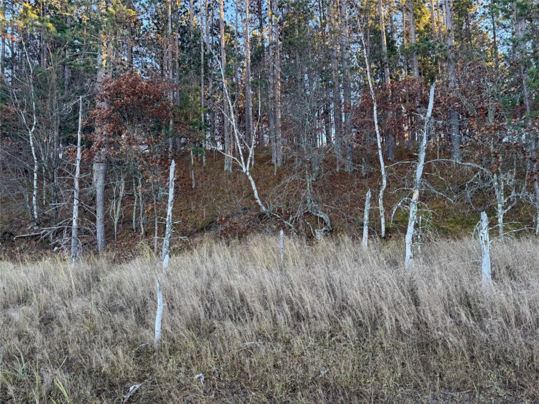 Lot 4 Big Sand Road, Minong WI 54859 - Land house for sale - MLS #1603419 - image16
