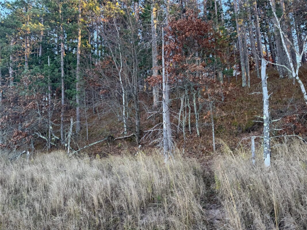 Lot 4 Big Sand Road, Minong WI 54859 - Land house for sale - MLS #1603419 - image17