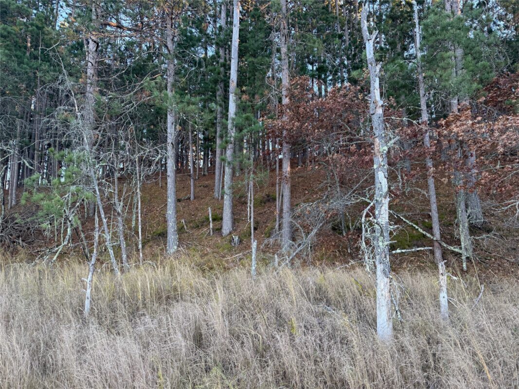 Lot 4 Big Sand Road, Minong WI 54859 - Land house for sale - MLS #1603419 - image21