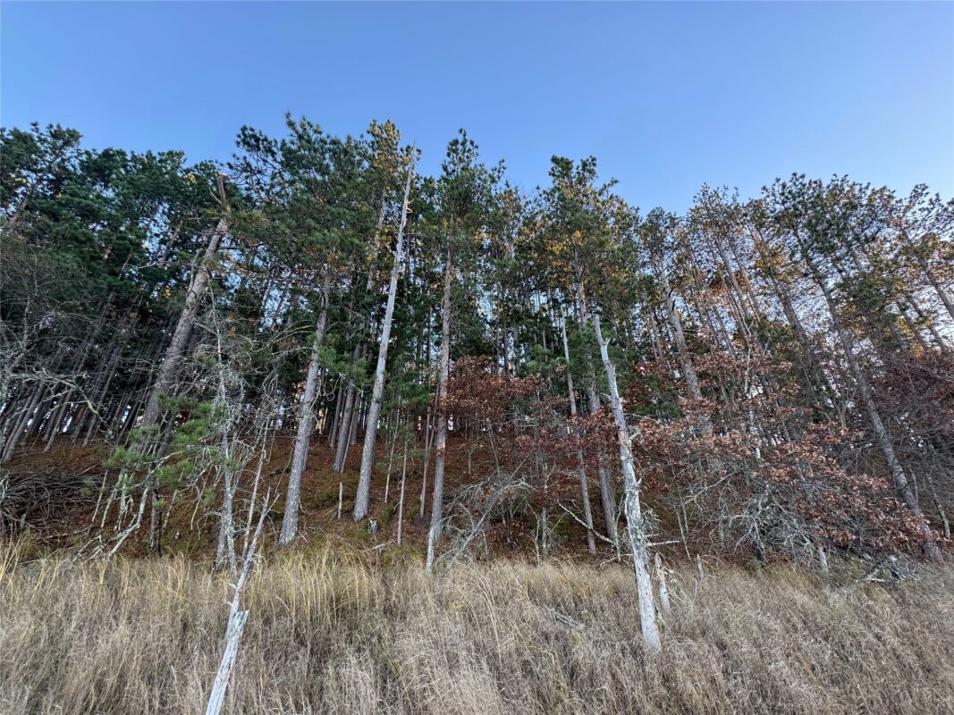 Lot 4 Big Sand Road, Minong WI 54859 - Land house for sale - MLS #1603419 - image22