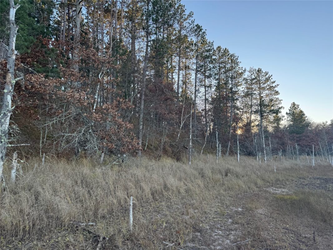 Lot 4 Big Sand Road, Minong WI 54859 - Land house for sale - MLS #1603419 - image23