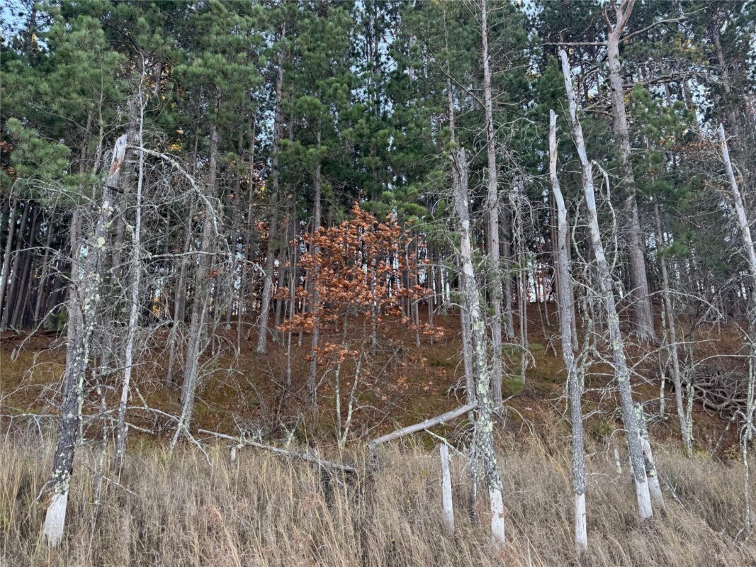 Lot 4 Big Sand Road, Minong WI 54859 - Land house for sale - MLS #1603419 - image24