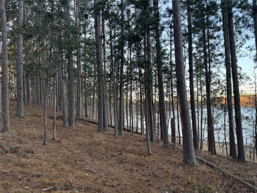 Lot 4 Big Sand Road, Minong WI 54859 - Land house for sale - MLS #1603419 - image25