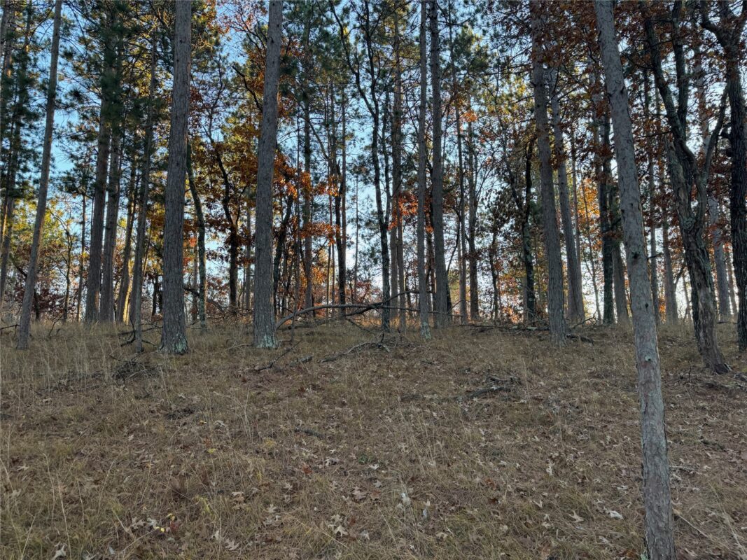 Lot 4 Big Sand Road, Minong WI 54859 - Land house for sale - MLS #1603419 - image26