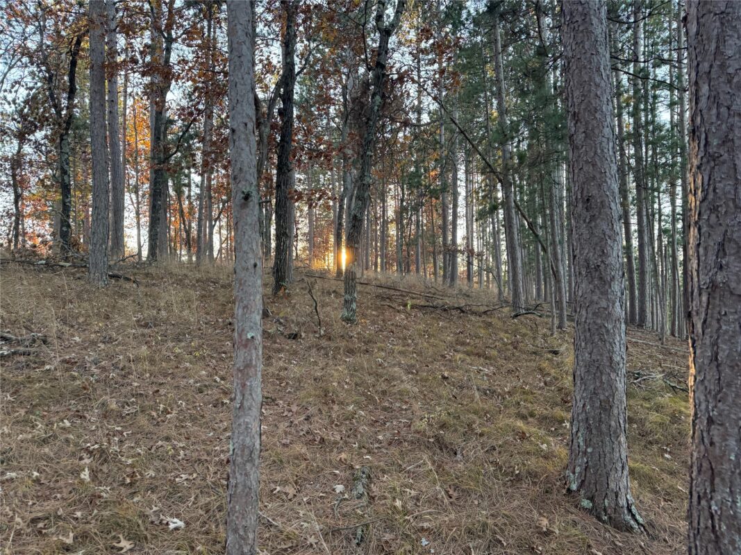Lot 4 Big Sand Road, Minong WI 54859 - Land house for sale - MLS #1603419 - image27