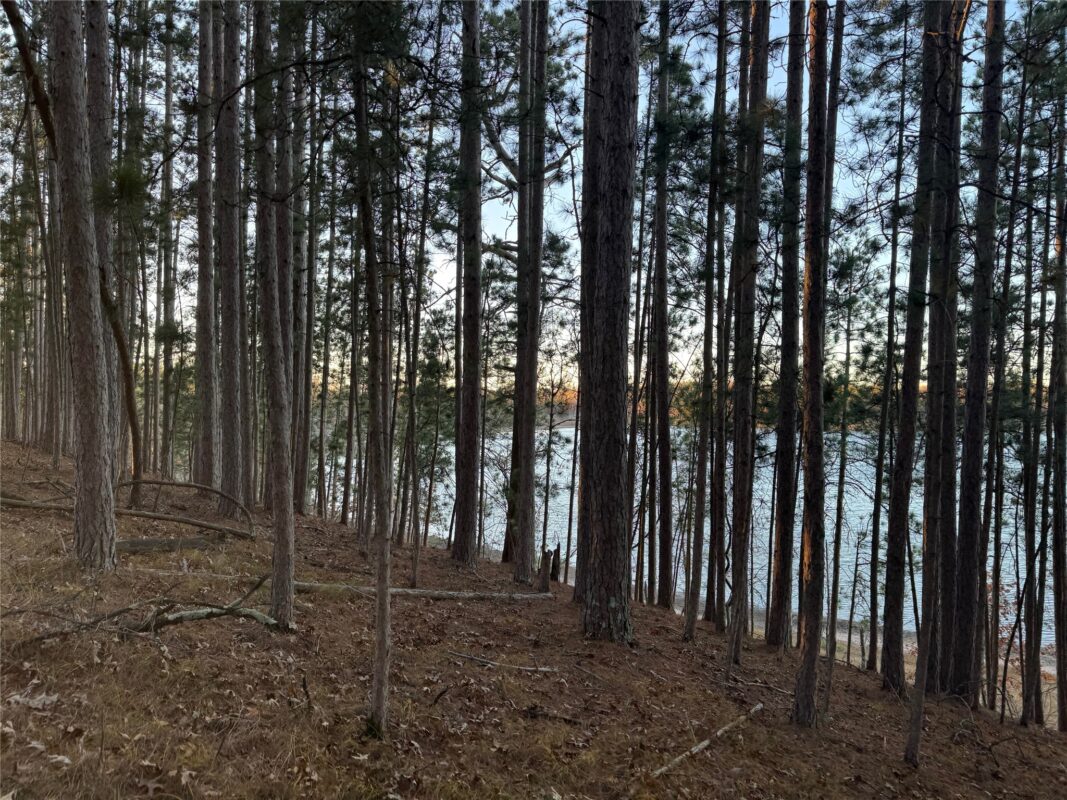 Lot 4 Big Sand Road, Minong WI 54859 - Land house for sale - MLS #1603419 - image29