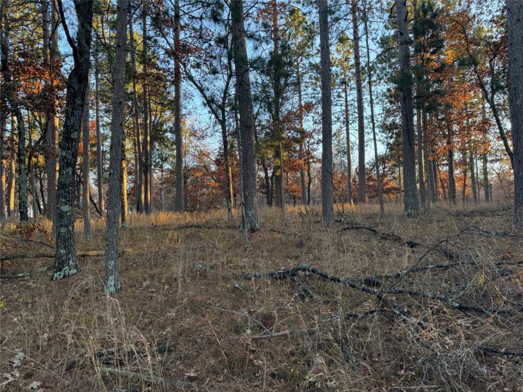 Lot 4 Big Sand Road, Minong WI 54859 - Land house for sale - MLS #1603419 - image31