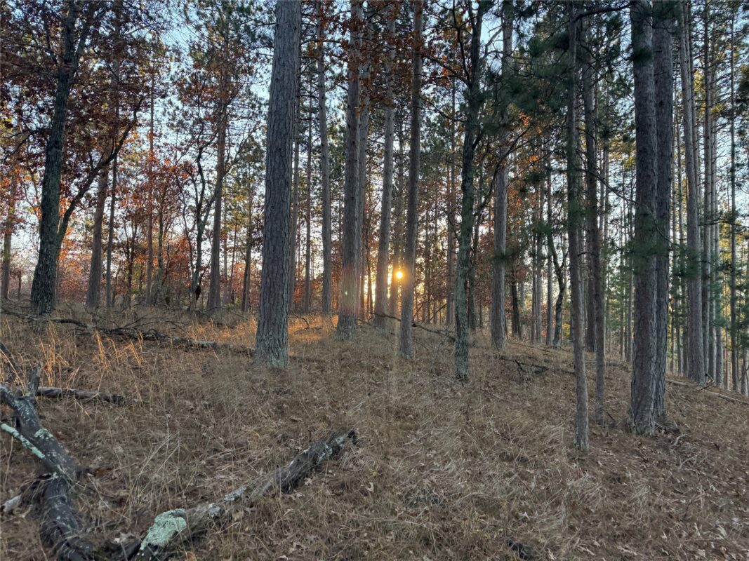 Lot 4 Big Sand Road, Minong WI 54859 - Land house for sale - MLS #1603419 - image32