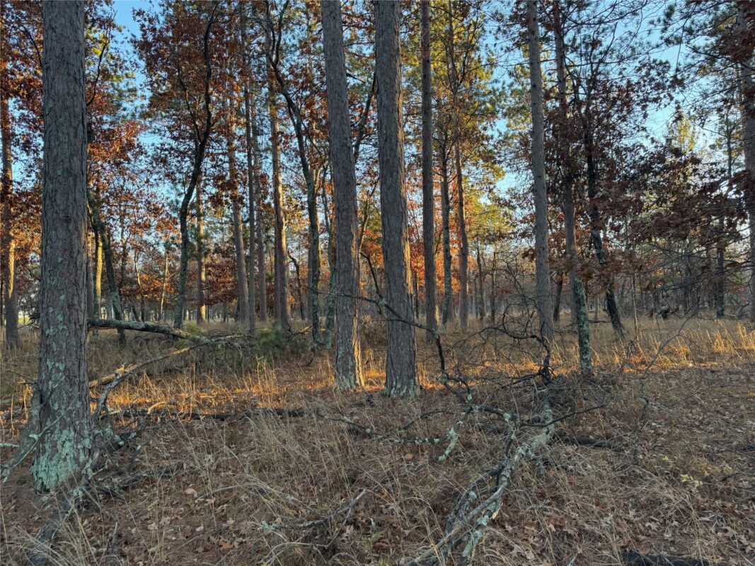 Lot 4 Big Sand Road, Minong WI 54859 - Land house for sale - MLS #1603419 - image34