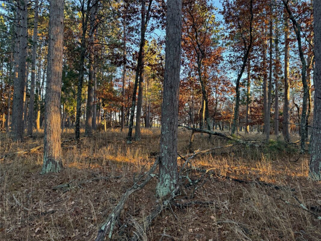Lot 4 Big Sand Road, Minong WI 54859 - Land house for sale - MLS #1603419 - image35