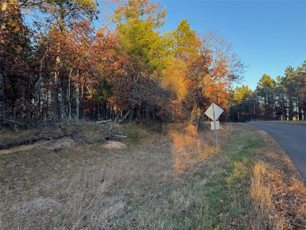 Lot 4 Big Sand Road, Minong WI 54859 - Land house for sale - MLS #1603419 - image37